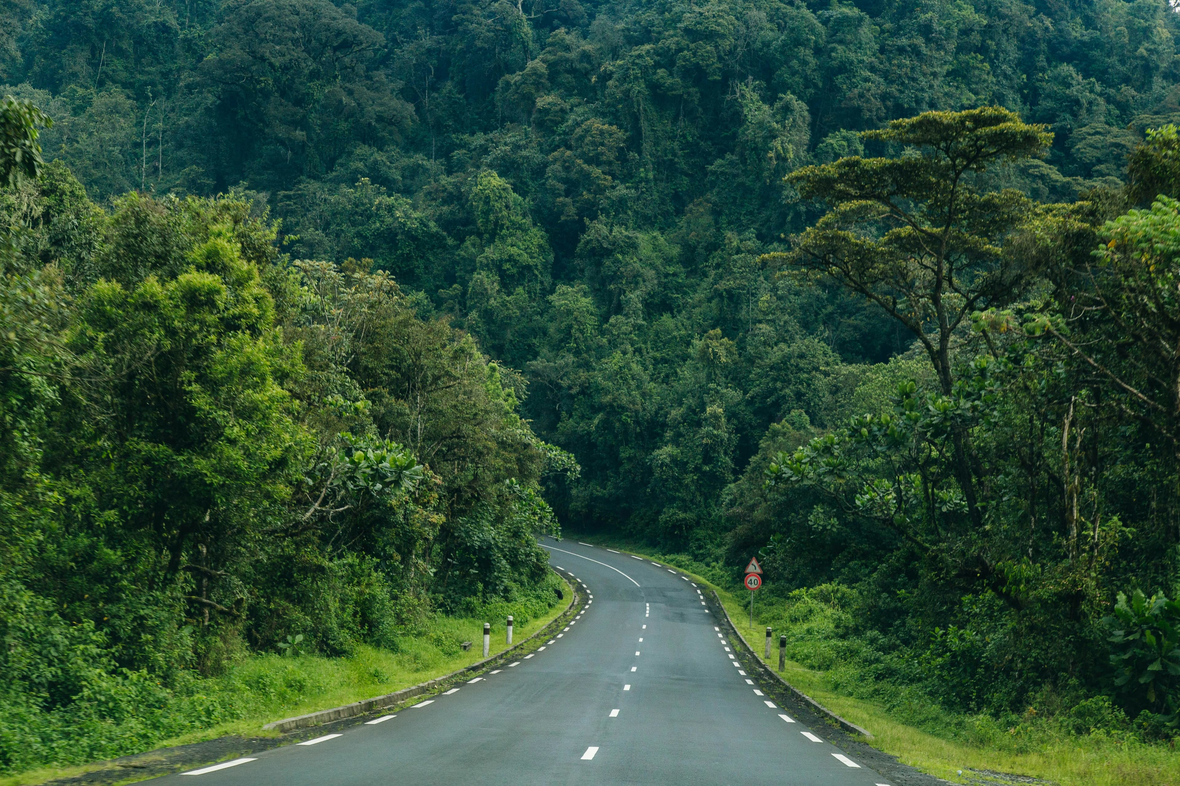 Gishwati Mukura National Park